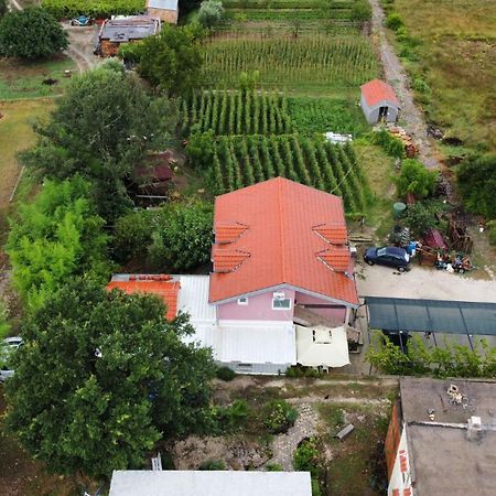 Apartman Balsa Kotor Kültér fotó