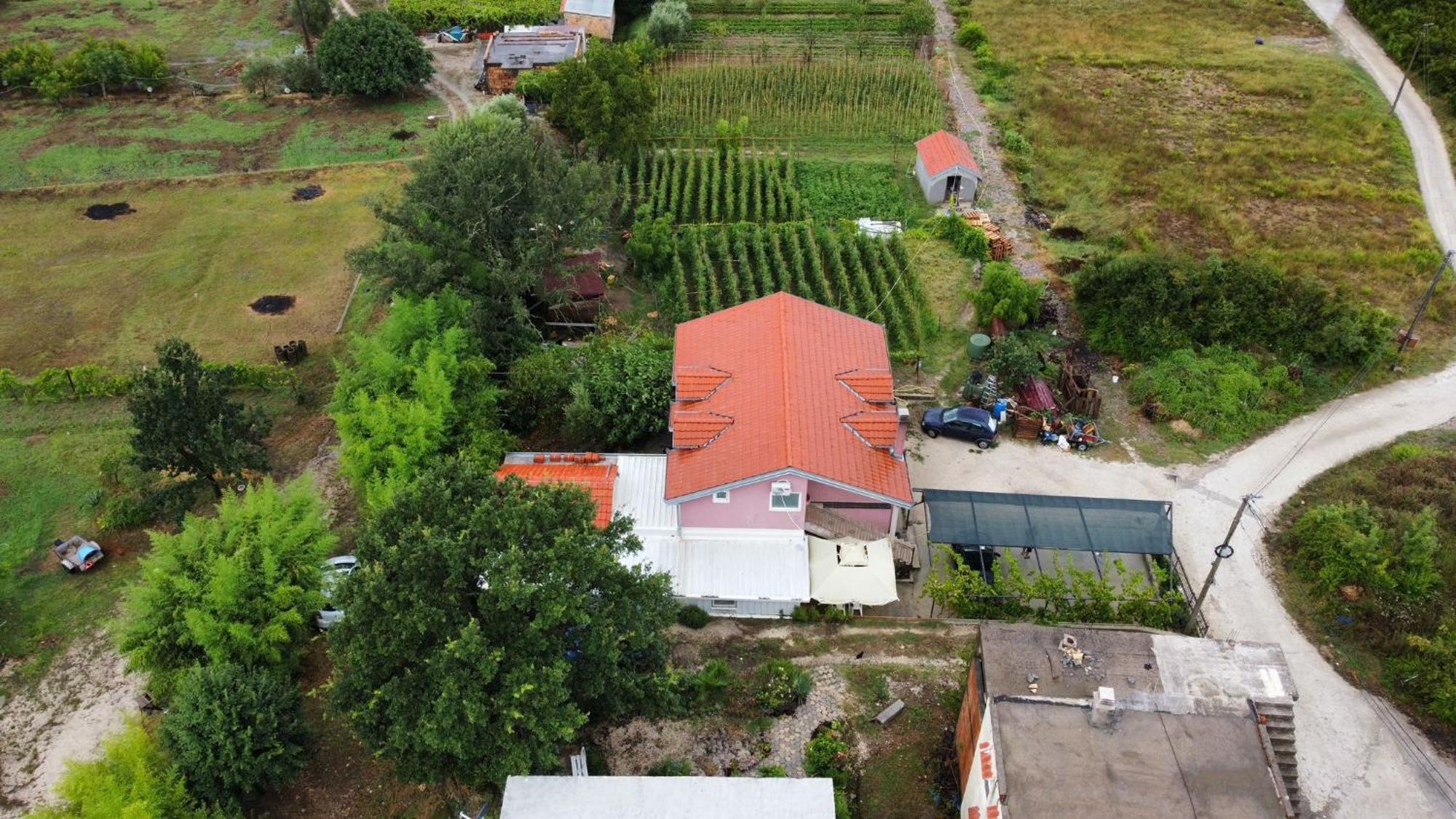 Apartman Balsa Kotor Kültér fotó